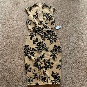 Nude and black midi dress